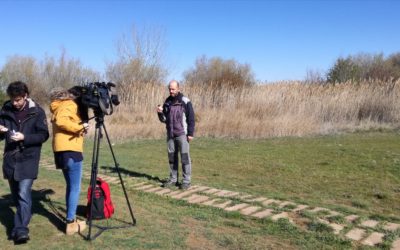 PROTAGONISTAS EN CASTILLA Y LEÓN TELEVISIÓN