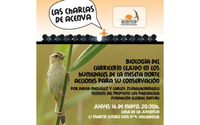 MÁS CHARLAS DIVULGATIVAS EN CASTILLA Y LEÓN