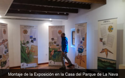 CONTINÚA LA ITINERANCIA DE LA EXPOSICIÓN SOBRE EL PROYECTO LIFE PALUDICOLA