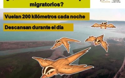 BALANCE DE CHARLAS, TALLERES Y EXPOSICIONES EN EL ECUADOR DEL PROYECTO