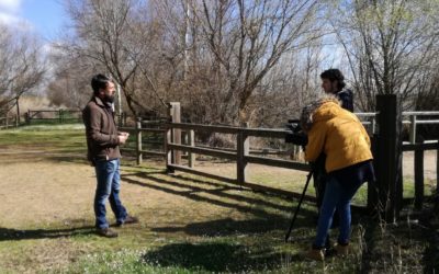 EL CARRICERÍN CEJUDO, EJEMPLO DE ESPECIES AMENAZADAS QUE HABITAN EN PALENCIA
