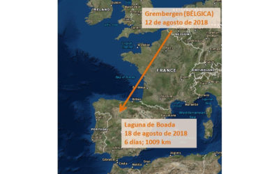 DE BÉLGICA A LA LAGUNA DE BOADA DE CAMPOS