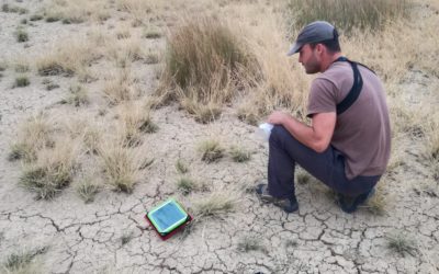 LA JUNTA CONTRATA UN ESTUDIO SOBRE ESTRUCTURA Y DIVERSIDAD VEGETAL