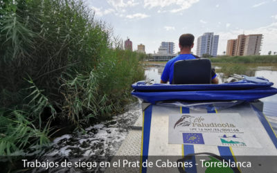 INICIAMOS LA TEMPORADA DE SIEGAS MECÁNICAS