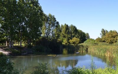 RONDA DE CONTACTOS CON RESPONSABLES DE MUNICIPIOS DE LA MARJAL DE LA SAFOR