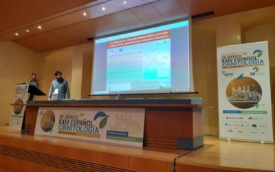 PARTICIPAMOS EN EL CONGRESO ESPAÑOL DE ORNITOLOGÍA CON DOS COMUNICACIONES