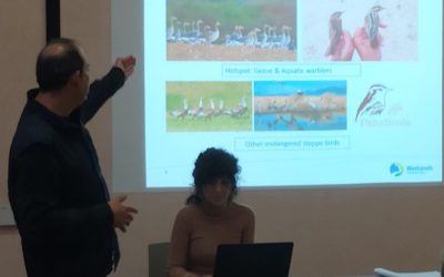 EL LIFE PALUDICOLA EN LA REUNIÓN DE WETLANDS INTERNACIONAL