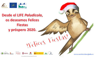 ¡FELICES FIESTAS Y PRÓSPERO 2020!