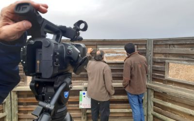 PROTAGONISTAS EN “EL ARCÓN” DE RTVCYL