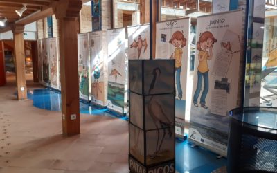 RETOMAMOS LA CAMPAÑA AMBIENTAL EN COLEGIOS DE CASTILLA Y LEON