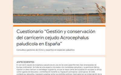 PRIMEROS PASOS EN LA ELABORACIÓN DE UNA FUTURA ESTRATEGIA DE CONSERVACIÓN DEL CARRICERIN CEJUDO