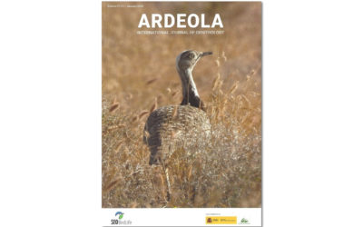 LA ÚLTIMA CAMPAÑA POSNUPCIAL EN EL NOTICIARIO DE ARDEOLA