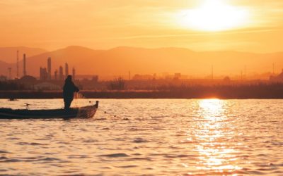 LA FERIA DE SILLA ELIGE A LOS GANADORES DEL I CONCURSO DE FOTOGRAFÍA L’ALBUFERA