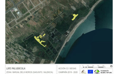 LAS SIEGAS EN LA MARJAL DELS MOROS HAN FINALIZADO