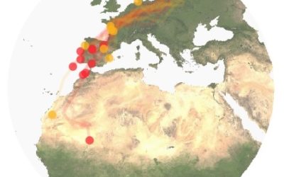 IMPORTANTE ESTUDIO SOBRE LOS MOVIMIENTOS MIGRATORIOS DEL CARRICERÍN CEJUDO