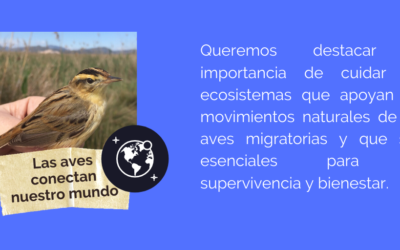 EL CEJUDO TAMBIÉN PRESENTE EL DÍA MUNDIAL DE LAS AVES MIGRATORIAS