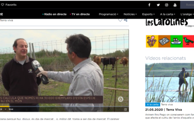 REPORTAJE EN TERRA VIVA DE A PUNT TV