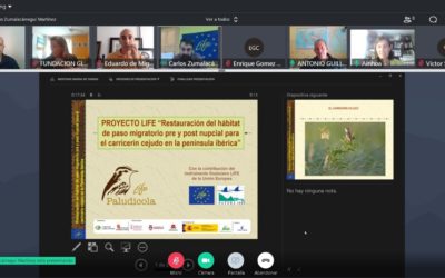 VISITA VIRTUAL DE SEGUIMIENTO DEL PROYECTO LIFE PALUDICOLA