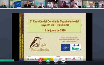 III REUNIÓN DEL COMITÉ DE SEGUIMIENTO