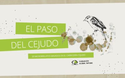 EL PASO DEL CEJUDO. UNA PEQUEÑA AVE HA INSPIRADO 30 MICRORRELATOS PARA DEJAR VOLAR TU IMAGINACIÓN