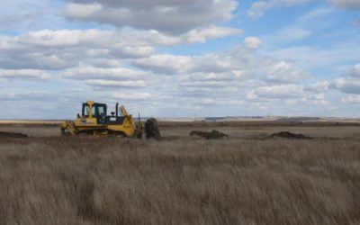 CONTINÚAN LOS TRABAJOS DE MEJORA DE HÁBITAT EN LAS LAGUNAS DE TIERRA DE CAMPOS