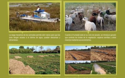 CONVENIO DE COLABORACIÓN CON LA UNIÓ DE LLAURADORS I RAMADERS