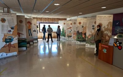 LA EXPOSICIÓN DEL CARRICERÍN Y LAS CHARLAS DE FORMACIÓN SIGUEN EN MARCHA AL FINALIZAR EL AÑO 2020