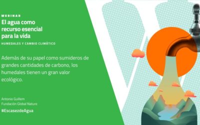 EL LIFE PALUDICOLA EN EL WEBINAR “EL AGUA COMO RECURSO ESENCIAL PARA LA VIDA”