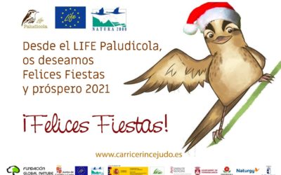 ¡FELICES FIESTAS Y PRÓSPERO 2021!