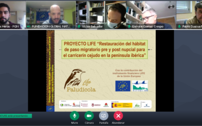 VI REUNIÓN DE COORDINACIÓN DE LOS SOCIOS DEL PROYECTO LIFE PALUDICOLA. ESTA VEZ, DE MANERA TELEMÁTICA