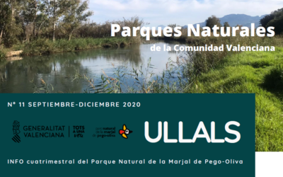 EL PROYECTO LIFE PALUDICOLA PROTAGONISTA EN EL BOLETÍN “ULLALS”