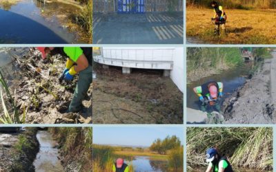 AL MAL TIEMPO, BUENAS PLANTAS. NUEVA TEMPORADA DE PLANTACIONES EN LA COMUNIDAD VALENCIANA