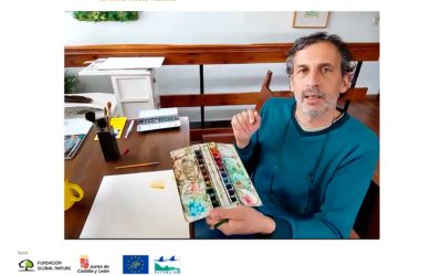 EL ILUSTRADOR ÁNGEL FEBRERO NOS DA SUS CLAVES PARA DIBUJAR AVES EN ACUARELA