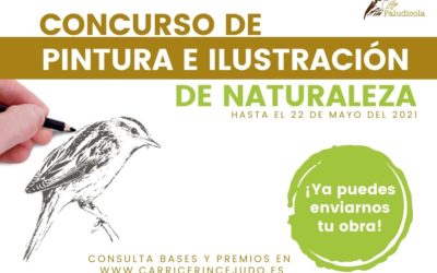 CONCURSO DE PINTURA E ILUSTRACIÓN DE NATURALEZA
