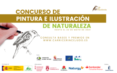 RESOLUCIÓN DE GANADORES DEL CONCURSO DE PINTURA E ILUSTRACIÓN DE NATURALEZA 2021