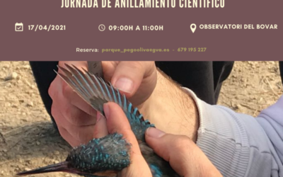 EDUCACIÓN AMBIENTAL DURANTE LA CAMPAÑA DE ANILLAMIENTO EN ABRIL